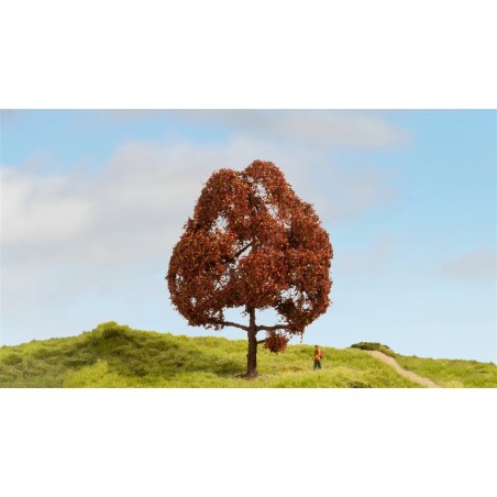 Noch 20150 Copper Beech