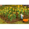 Faller 181256 16 Sonnenblumen