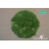 Silhouette 004-22 Gras-Flock 4,5 mm Sommer 1 : 87 50 g